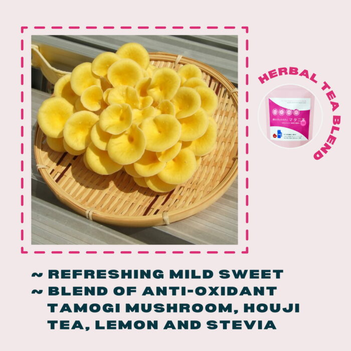 [HINODE] HERBAL TEA BLEND OF JAPANESE GOLDEN OYSTER MUSHROOM LEMON GREEN TEA – RELAX AROMA – TEA BAG 2