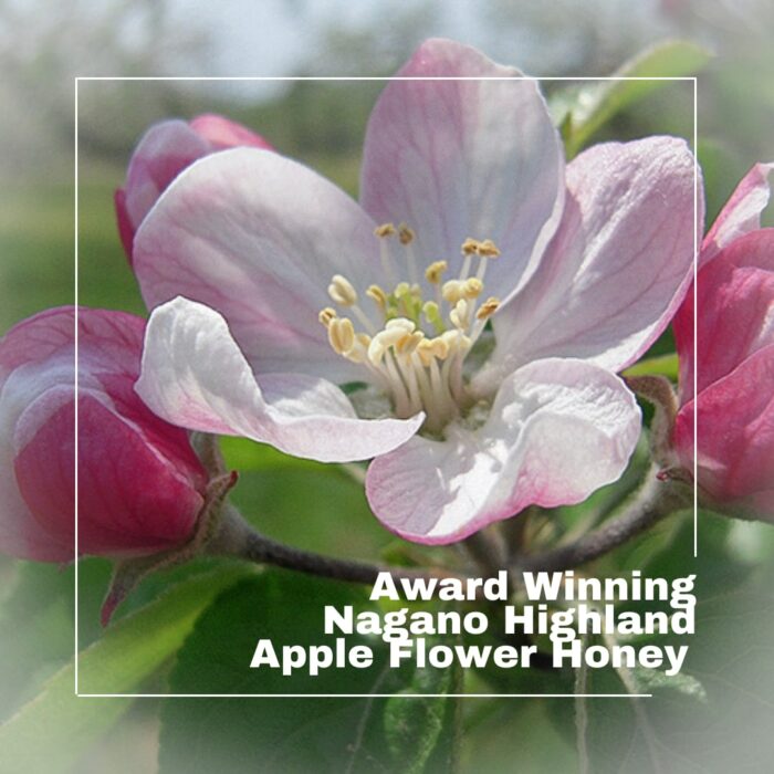 [HINODE] NAGANO HIGHLAND AWARD WINNING JAPANESE APPLE FLOWER HONEY GIFT 2 BOT – PURE NATURAL FRUITY 2