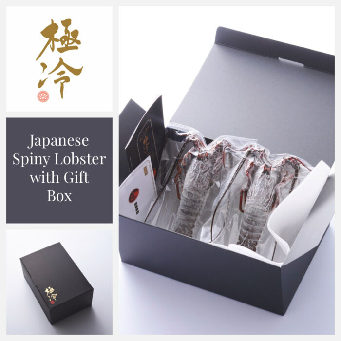 [HINODE] GIFT ISE-EBI – LUXURIOUS JAPANESE SPINY LOBSTER – FRESH FROZEN BY ULTRA-RAPID FREEZING 1