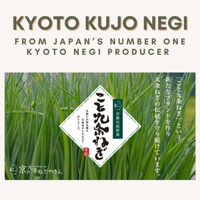 [HINODE] KYOTO KUJO NEGI – LONG GREEN ONION SCALLION – FROZEN STICK CUT – 500GX20 PACKS/CARTON 2