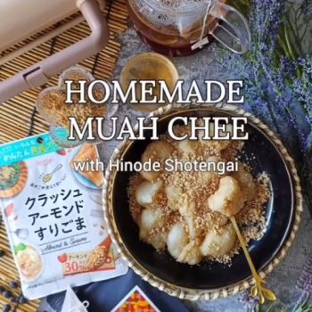 Homemade Muah Chee